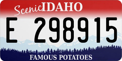 ID license plate E298915