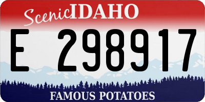 ID license plate E298917