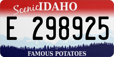 ID license plate E298925