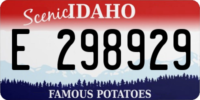 ID license plate E298929