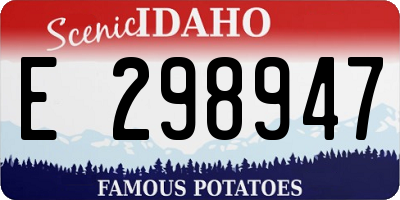 ID license plate E298947