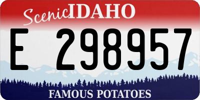 ID license plate E298957