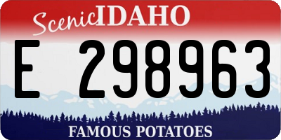ID license plate E298963