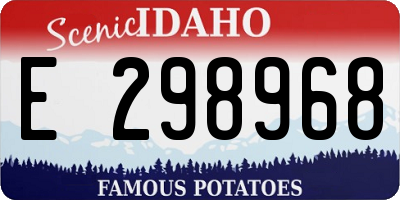 ID license plate E298968