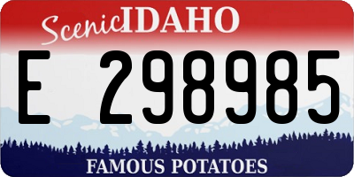 ID license plate E298985