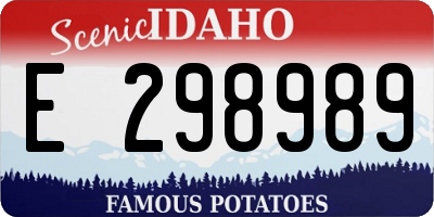 ID license plate E298989