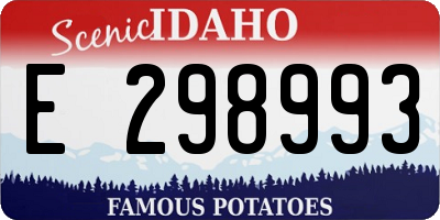 ID license plate E298993
