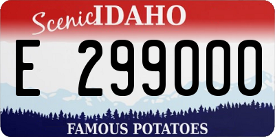 ID license plate E299000