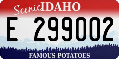 ID license plate E299002