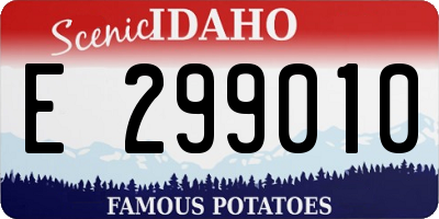 ID license plate E299010