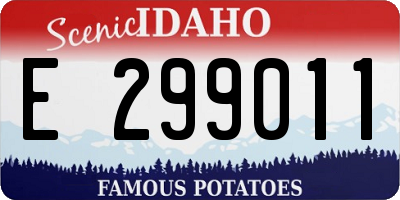 ID license plate E299011