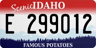 ID license plate E299012