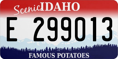 ID license plate E299013