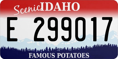 ID license plate E299017
