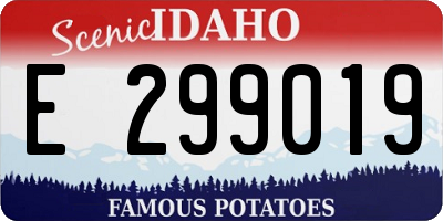 ID license plate E299019
