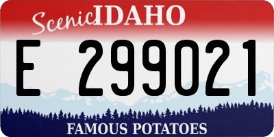 ID license plate E299021
