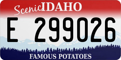 ID license plate E299026