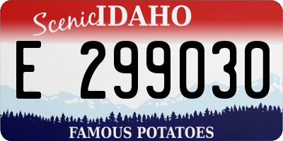 ID license plate E299030