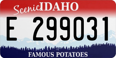 ID license plate E299031