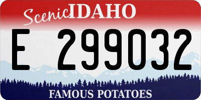 ID license plate E299032