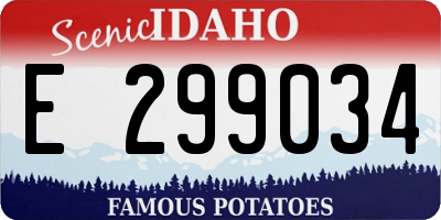 ID license plate E299034