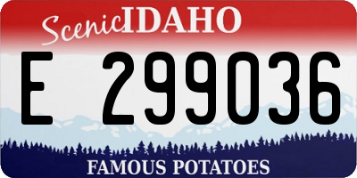 ID license plate E299036