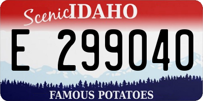 ID license plate E299040