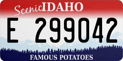 ID license plate E299042