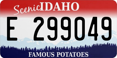 ID license plate E299049