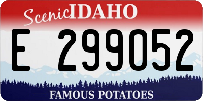 ID license plate E299052