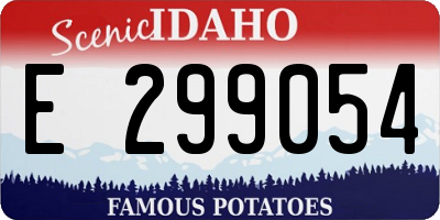 ID license plate E299054