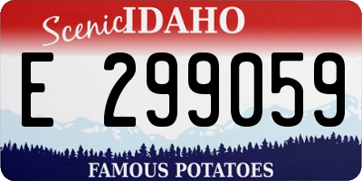 ID license plate E299059