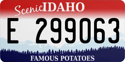 ID license plate E299063