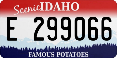 ID license plate E299066