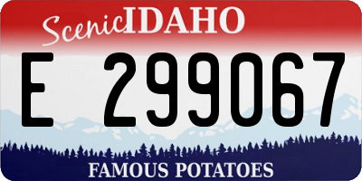 ID license plate E299067
