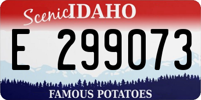ID license plate E299073
