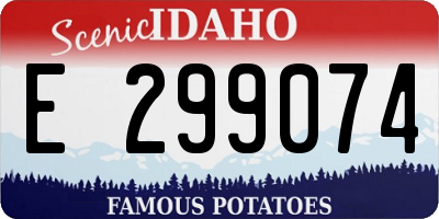 ID license plate E299074