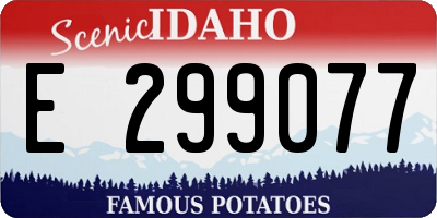 ID license plate E299077