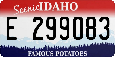 ID license plate E299083