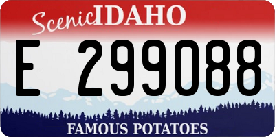 ID license plate E299088