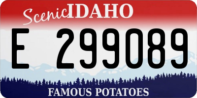 ID license plate E299089