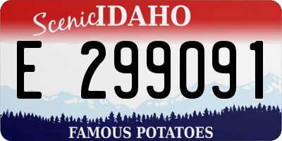 ID license plate E299091