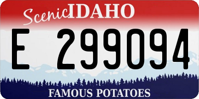 ID license plate E299094