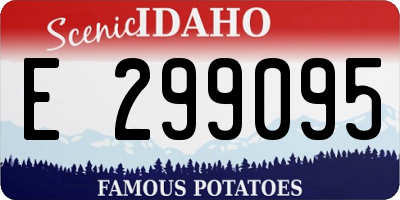 ID license plate E299095
