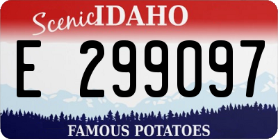 ID license plate E299097