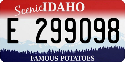 ID license plate E299098