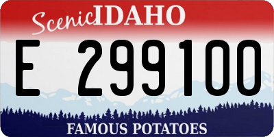 ID license plate E299100