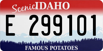 ID license plate E299101