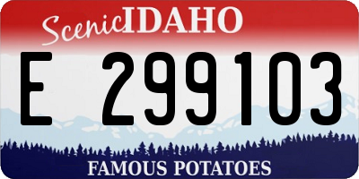 ID license plate E299103