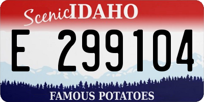 ID license plate E299104